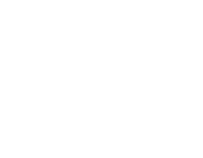 U.S. Air Force logo